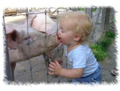 Enfant-porc